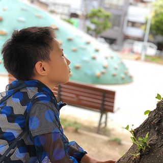 スクールビジョン